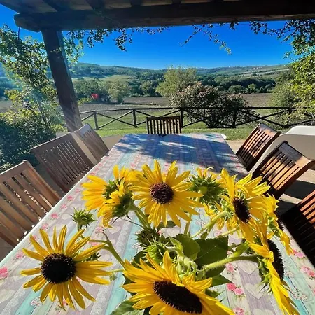 Todi By The Poolslps 10exc Pooltodi 5 Kmsrestaurant 05 Kms-both Easy Walks 4* Petroro