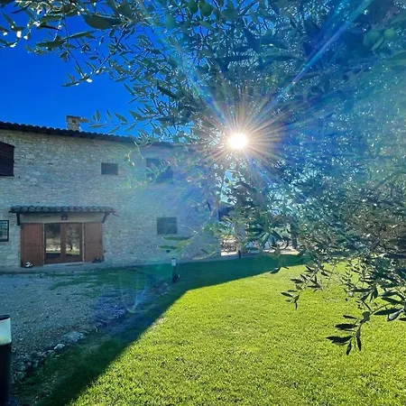 Todi By The Poolslps 10exc Pooltodi 5 Kmsrestaurant 05 Kms-both Easy Walks 酒店 Petroro