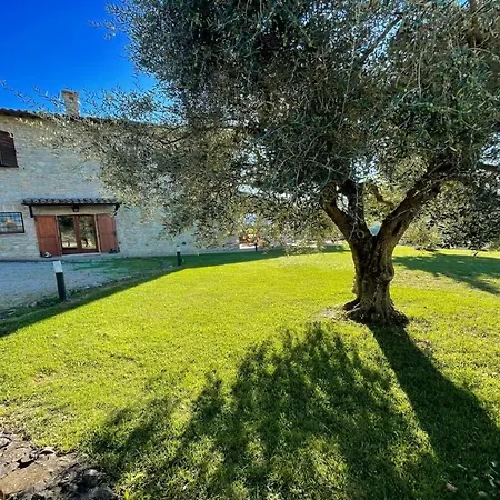 Hotel Todi By The Poolslps 10exc Pooltodi 5 Kmsrestaurant 05 Kms-both Easy Walks
