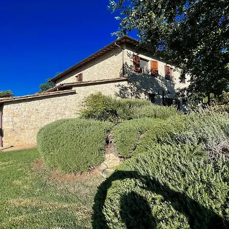 酒店 Todi By The Poolslps 10exc Pooltodi 5 Kmsrestaurant 05 Kms-both Easy Walks